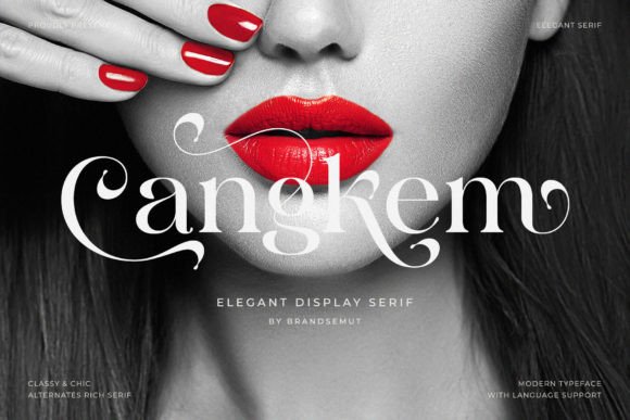 Cangkem: The Serif Font That Makes Campaigns Click