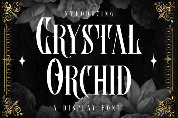 Crystal Orchid Font Review: A Blackletter Typeface for Modern Branding