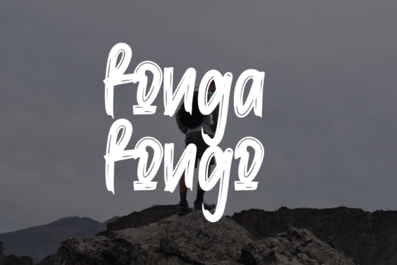 Fonga Fongo Review: A Display Typeface for Bold Web Design