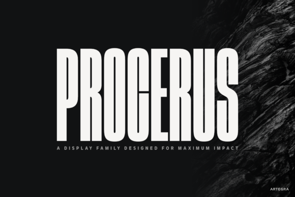 Procerus: A Sans Serif That Balances Character and Control